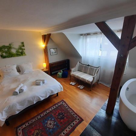 145M² City Center 4 Bedrooms View Of The Cathedral Estrasburgo Exterior foto