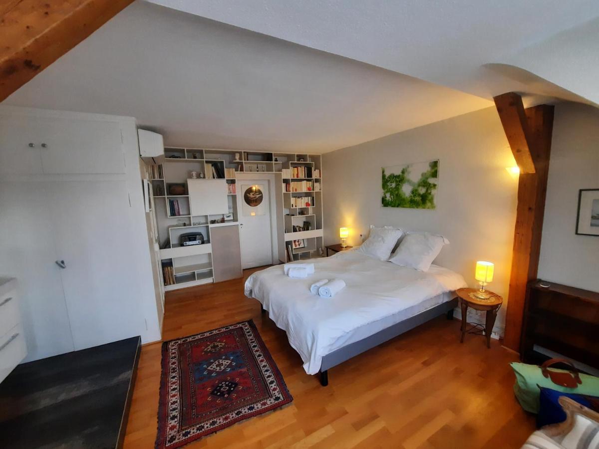 145M² City Center 4 Bedrooms View Of The Cathedral Estrasburgo Exterior foto
